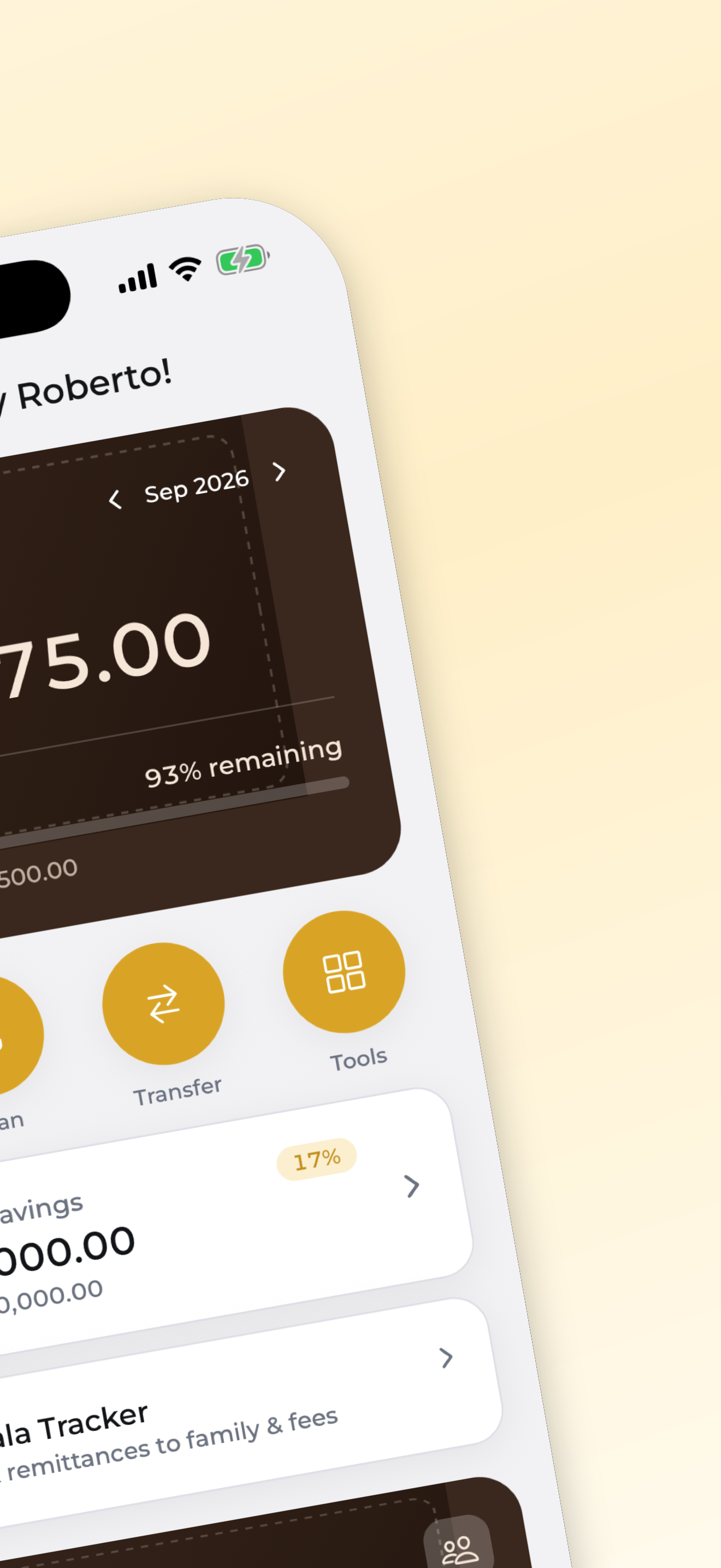 Home and daily balance tracking